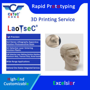 LaoTseC Brand 3D Printing Service-13