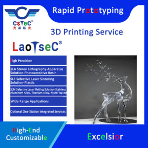LaoTseC Brand 3D Printing Service-15