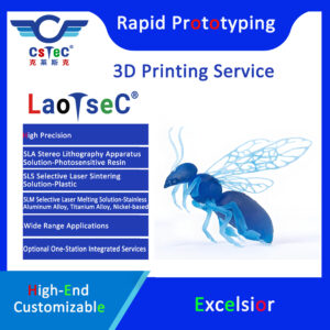 LaoTseC Brand 3D Printing Service-18