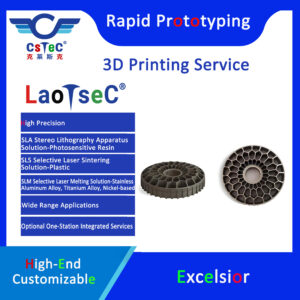 LaoTseC Brand 3D Printing Service-26