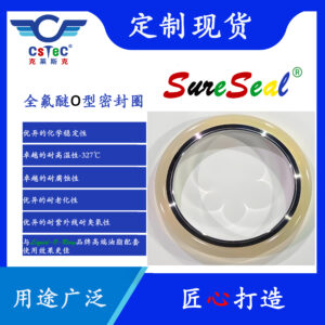 SureSeal品牌全氟醚O型密封圈-T12
