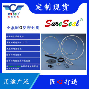 SureSeal品牌全氟醚O型密封圈-T16
