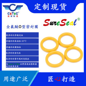 SureSeal品牌全氟醚O型密封圈-T18